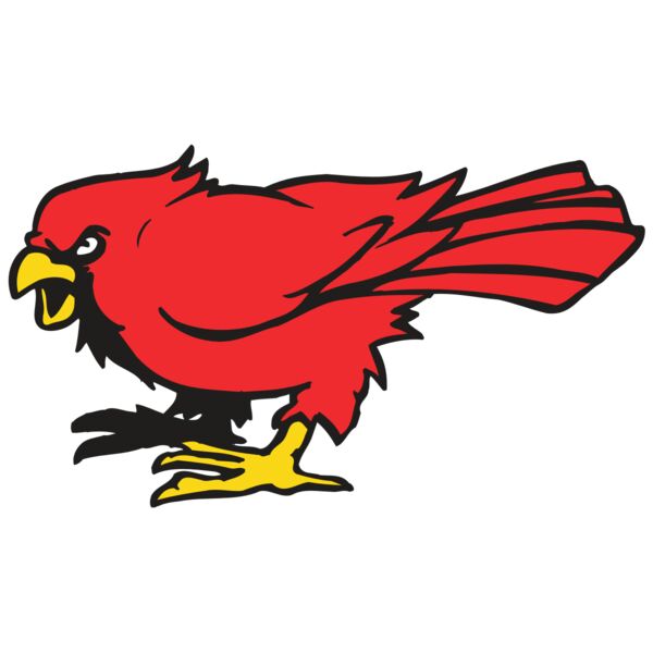 AR CARDINAL 11 RC Thumbnail